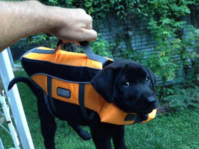 Sorority_Whore's tweet photo. "I almost forgot my briefcase!
It contains important lab results!" http://t.co/2i5YFX2gvi