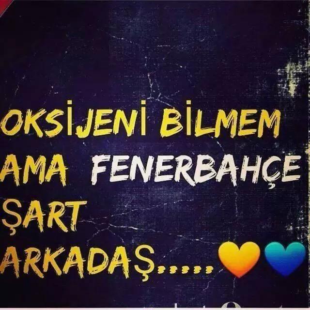 Onur ÖZATA (@onurr44) on Twitter photo 