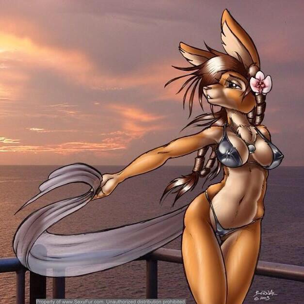 moondancer345's tweet image. 