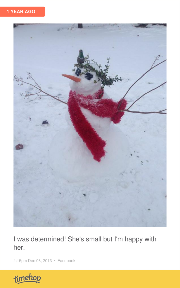 blessherart's tweet photo. Built this baby last year... Today not so much! http://t.co/WPZlRQPj4N http://t.co/BOYV37ouZ7