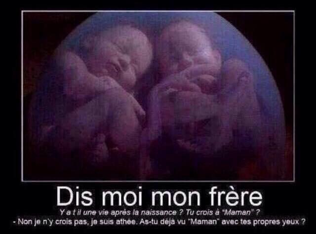 MarginalWallace's tweet image. #27.