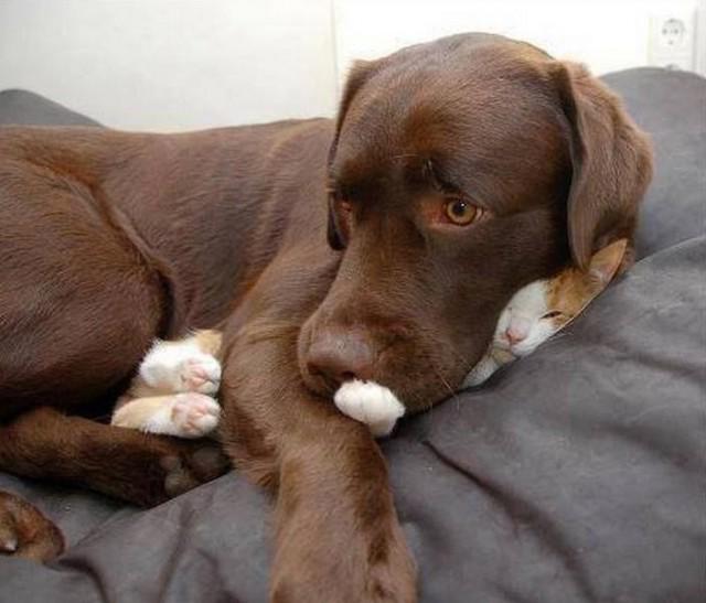ЯНА ))) (@yyy_yyy03) on Twitter photo 