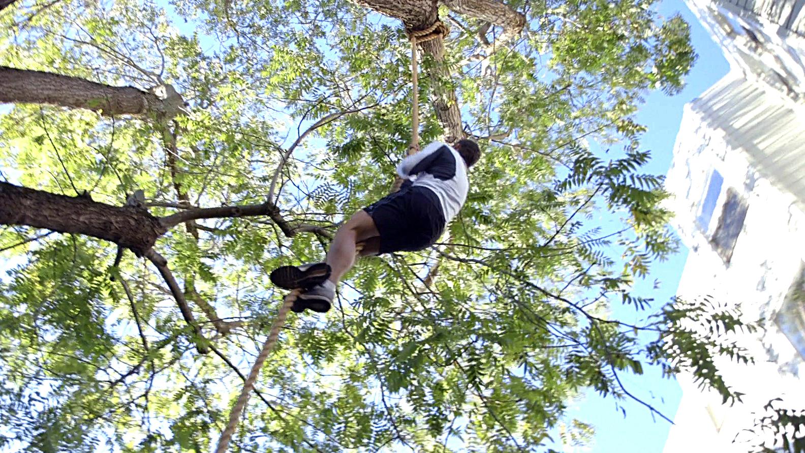 Permalien de l'image intégrée