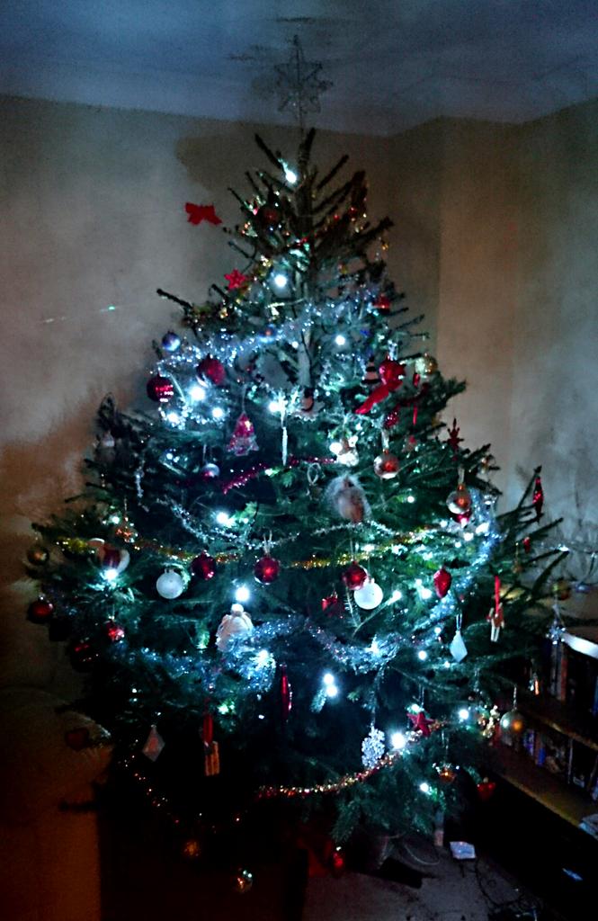 liveindetail's tweet photo. Treesus Christ

#LiDxmas http://t.co/eYQCtrqYGn