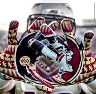 Primate1408's tweet photo. All day every day! #FearTheSpear #FSU http://t.co/uQs0rCh1Vp