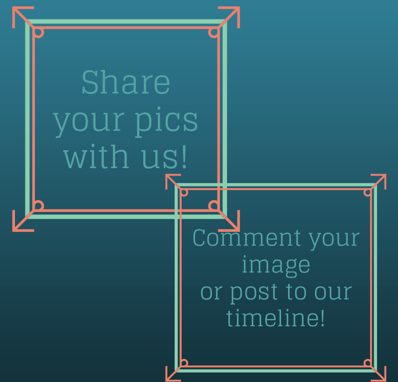 joeskarting's tweet image. #ShareYourStuff!