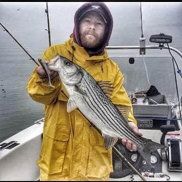 reflexionswmbts's tweet photo. #reflexion #swimbaits going after Striper on lake Texoma http://t.co/9rHn8mFWEy