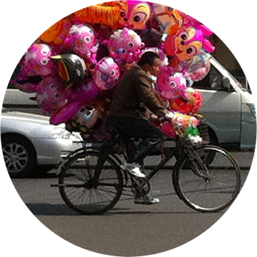 José Hoppenbrouwer tweet media