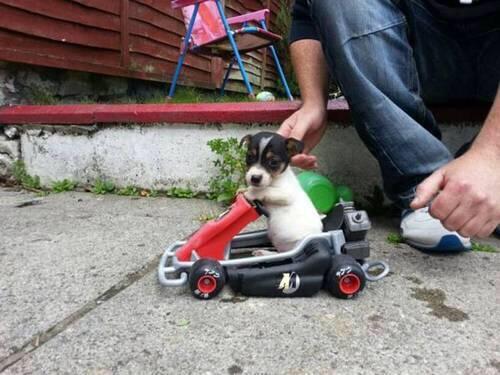 onlymotors's tweet image. Have you seen this? buff.ly/1tYnbHq #onlymotors #cars