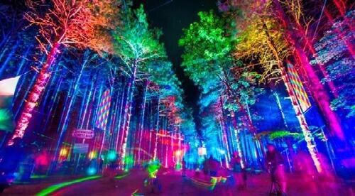 LifeAsARaver's tweet photo. Electric Forest 🌲🌲🎉🎊🔊 http://t.co/ilNDDOthCE