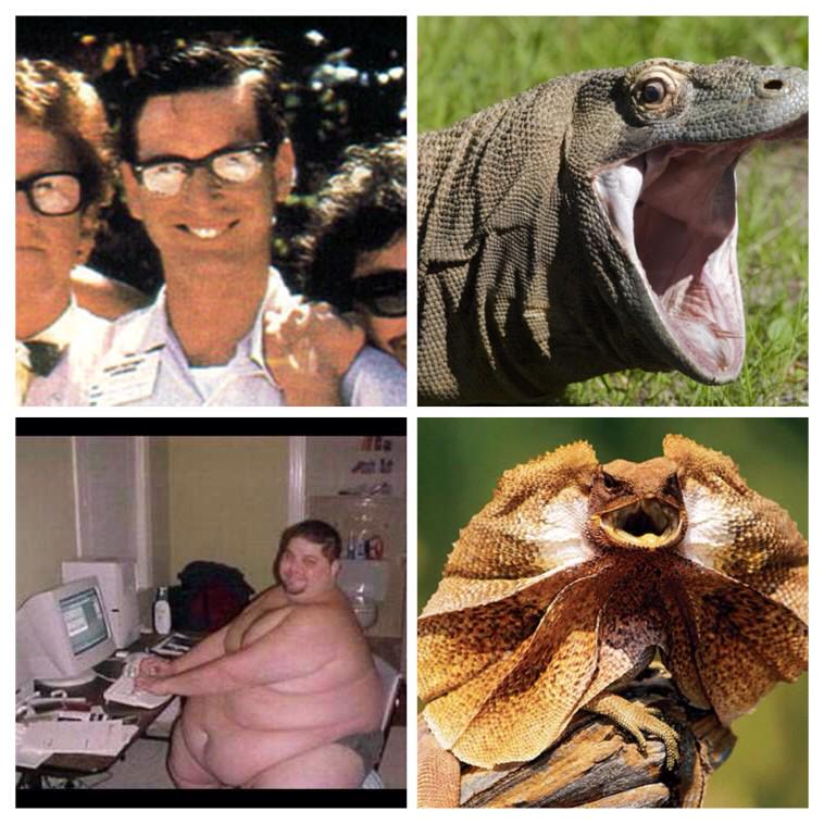 LiizardPatrol's tweet photo. My official starter pack http://t.co/90lrz4z4V6