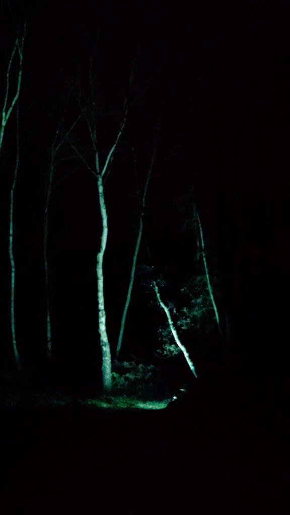 Another night at work for the <a href="/NottsCC/">Nottinghamshire County Council</a> #sparklingsherwood