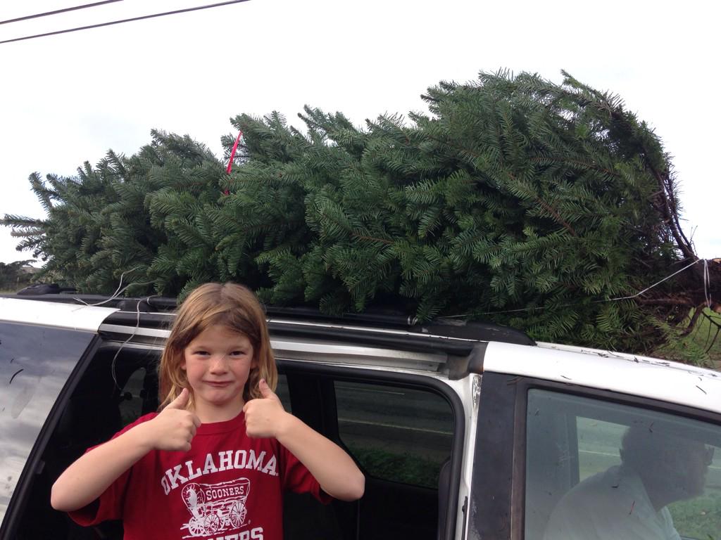 laure_simpson's tweet photo. Picking out the Christmas tree! Gonna decorate it while watching the #OUfootballgame #BoomerSooner #Bedlam #califans http://t.co/44LF4Md1jn