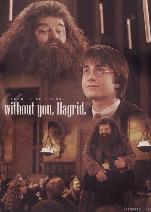 HPotterUniverse's tweet photo. "There's no Hogwarts without you, Hagrid." -Harry Potter #HappyBirthdayHagrid http://t.co/1DiOmpb54J