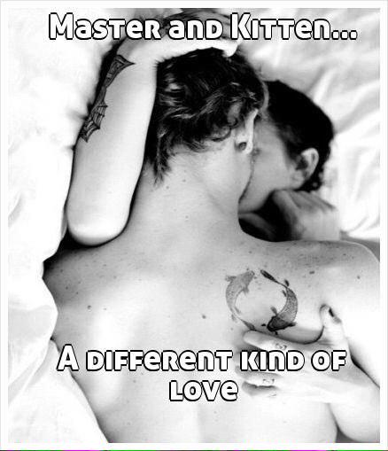 ReflectivKitten's tweet photo. A different kind.... http://t.co/GSxx7UHGYx