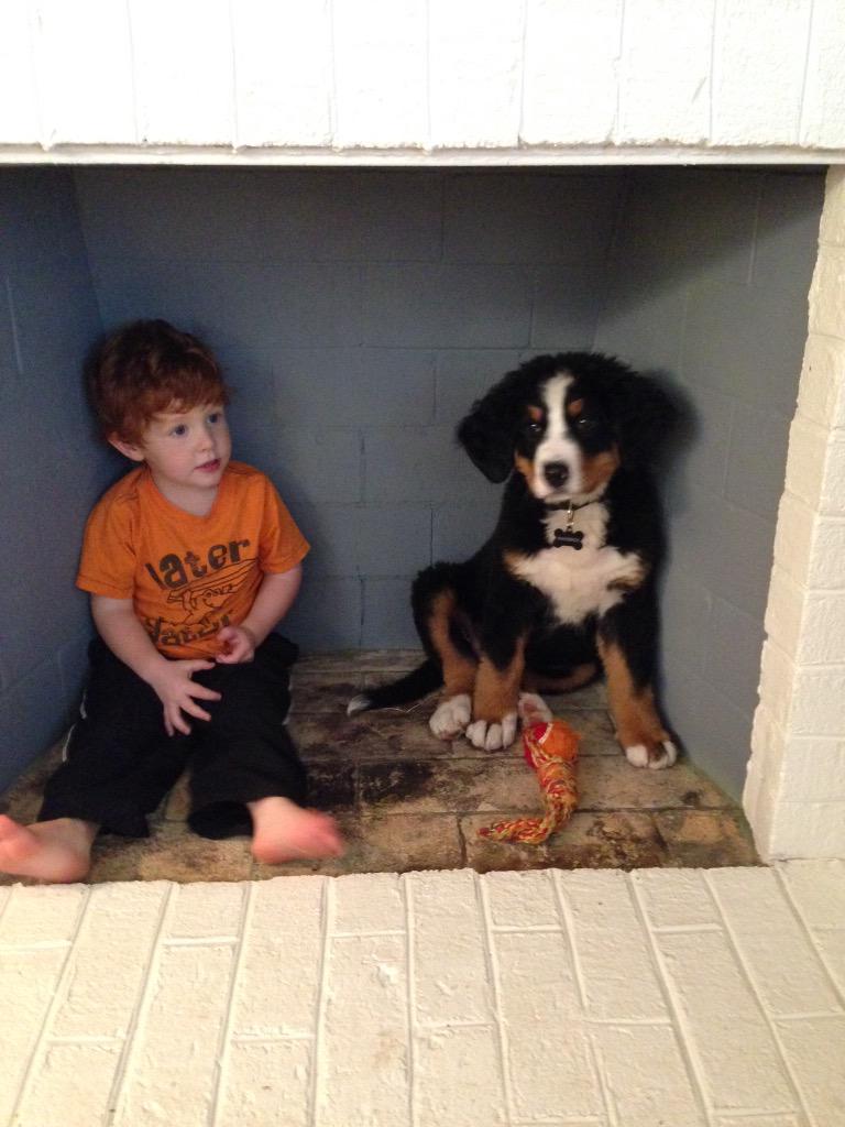 ScottHamiltonYL's tweet photo. Wyatt and Bandit. Which one would you rather take home with you?!! http://t.co/NUpsoqDexb