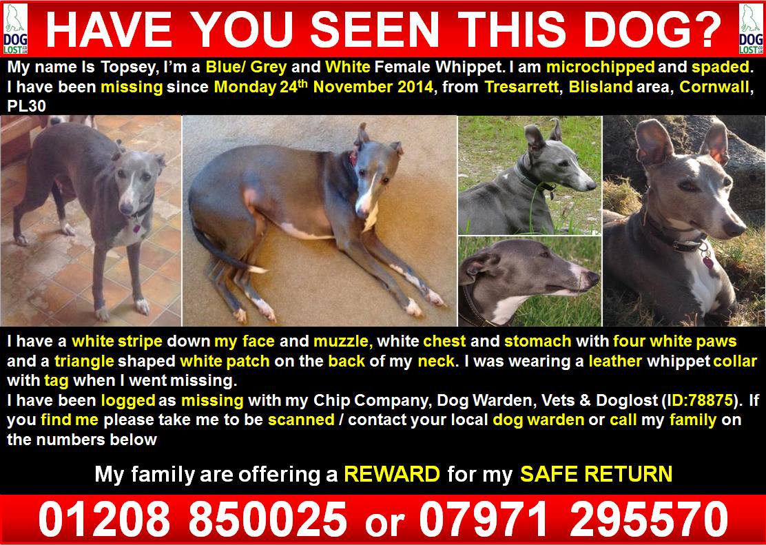 Find Topesy tweet media