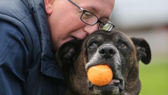 Protect_Wldlife's tweet photo. "For Life" The heartwarming story of a homeless man who walks 5 miles every day to see his dog http://t.co/urEu7UHsx7 http://t.co/yYSk8q3zhc