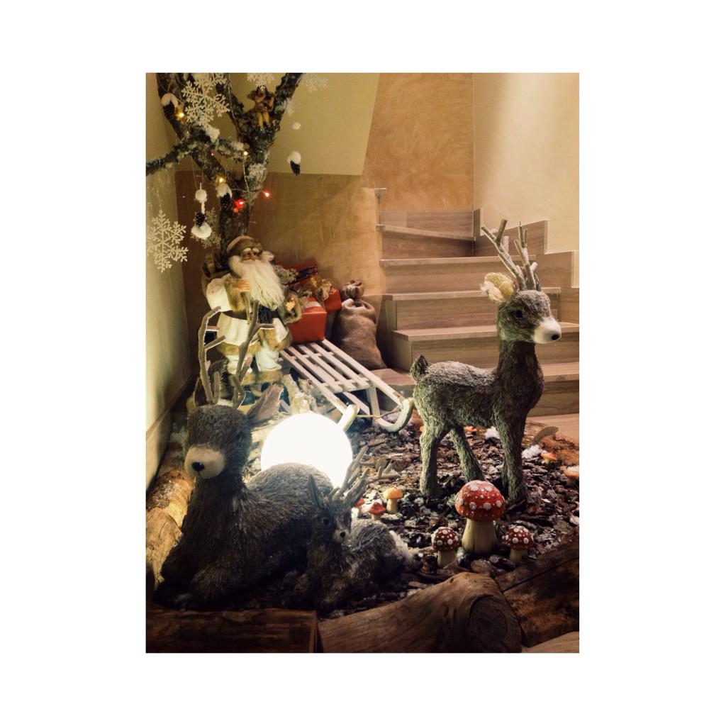 CandelaServera's tweet photo. En casa queda inaugurada la Navidad! 👏❄⛄ http://t.co/h6Ol1CS6Qk