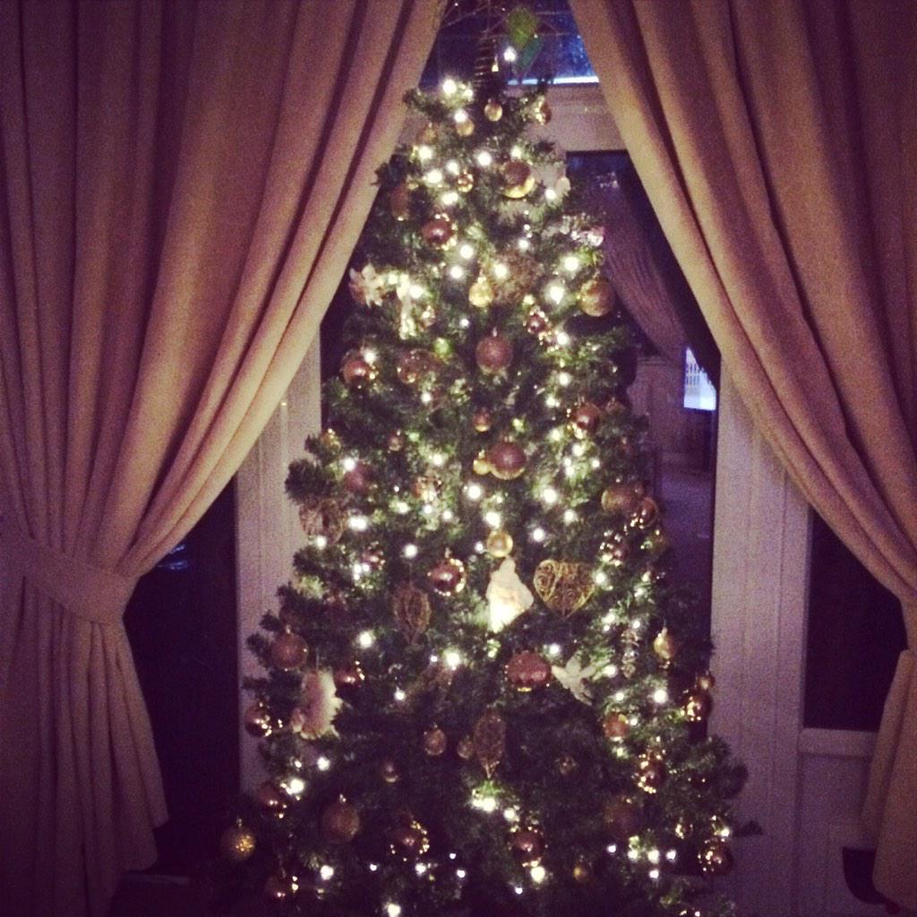 izzy130's tweet image. It's also Christmas ❄️⛄️🌲😊