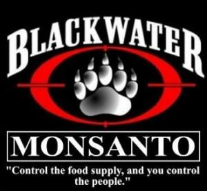 hyper_typer's tweet photo. #GMO Why does such a benevolent company need the most mercenary army of modern times? http://t.co/yNwBheE3Z0 http://t.co/3Pwz3nGd1r
