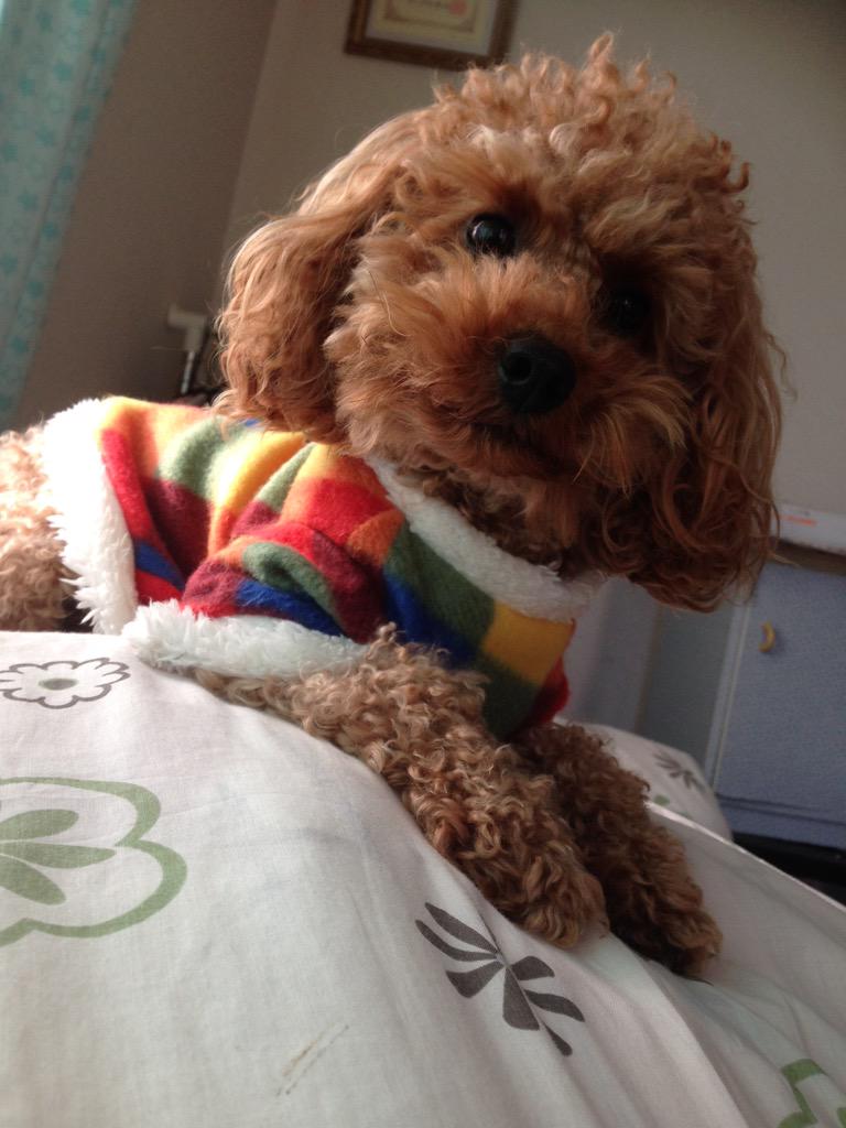 K_1baL's tweet photo. んぱっ。 http://t.co/k83d70xDc5