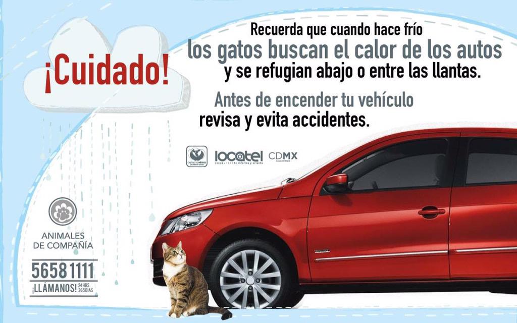 VeganosDF's tweet photo. En temporada de frío, recuerda estar atento a tu auto y así salvar la vida de un ser que pudo enterar a refugiarse: http://t.co/DppO9hrprd