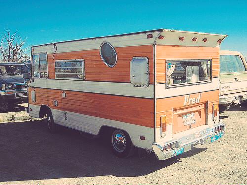 You go, Fred. 😎 #camplife #fredaintdead