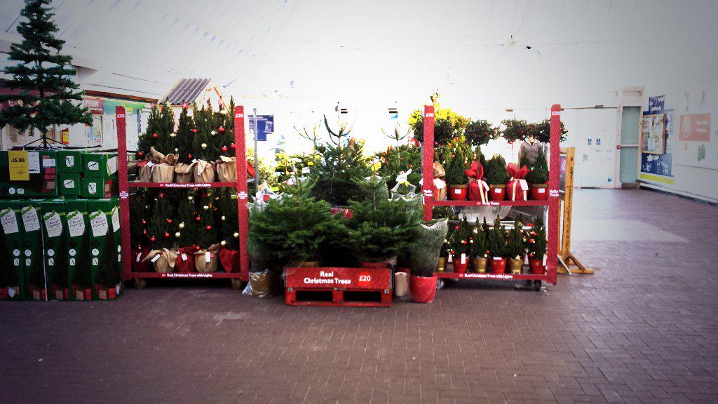LennyWinkle's tweet photo. @Tesco_Bedford  DOBBIES XMAS DISPLAY  LOOKING MINT IF I DO SAY SO MYSELF LOL @WoodingDave  @AGB2009 http://t.co/D6PkmzGCBo