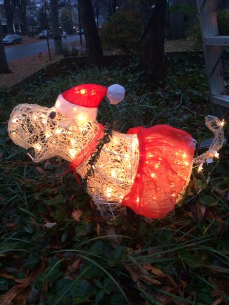 tom_d_ellis's tweet photo. @slaughterF3 @Moniteur_CLT @cacastle7 #ballerinahippo #nodil http://t.co/11zN99get2