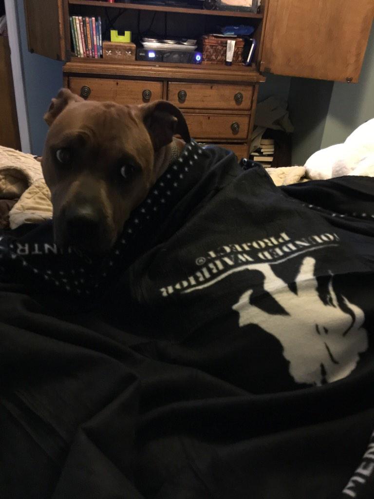 McHeatherWraps's tweet photo. Loving his new blanket! #meanestpitinga #wwpinc #pit #ShowUsYourPits http://t.co/t3dQPZvmR4