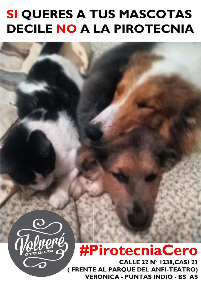VolvereVeronica's tweet photo. Trabajemos juntos por el cuidado responsable de los animales en estas Fiestas!! #Pirotecnia0 http://t.co/1qqa9jCKtq