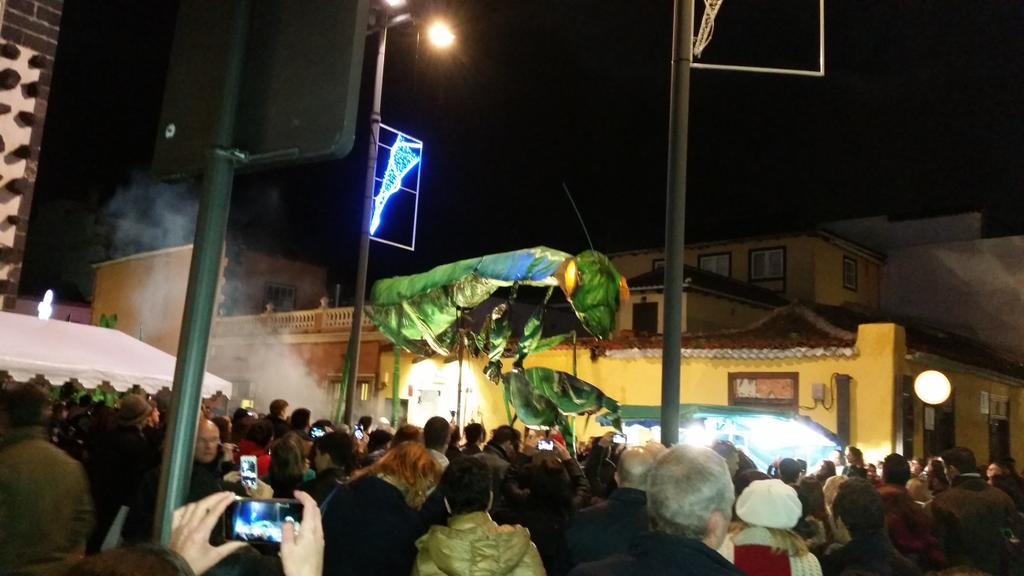 Benyikanario's tweet photo. #LNBLaLaguna una noche extraordinaria, con animaciones, una afluencia de público importante, Felicidades #LaLaguna http://t.co/zxjEZUVDrm