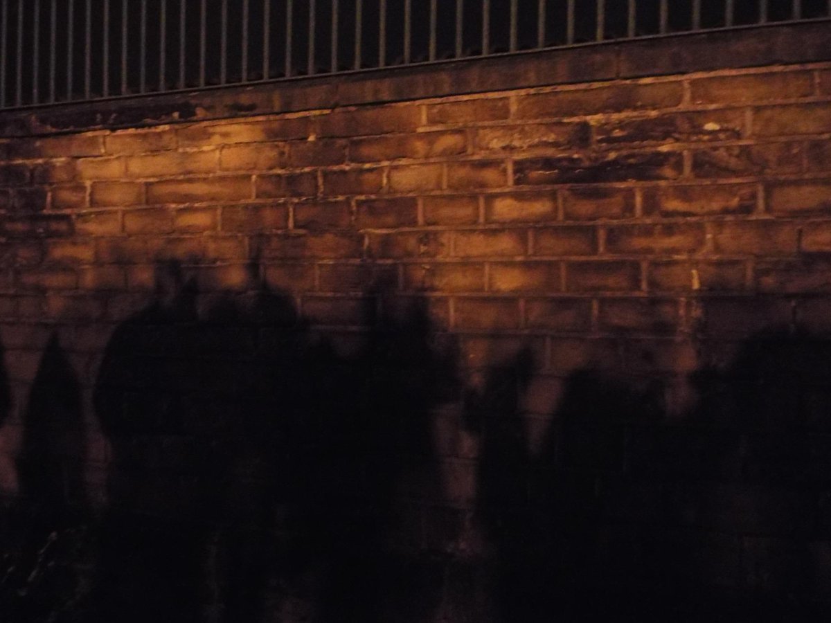 readtheroom's tweet photo. "They melt away when they see dragons, and just leave their shadows on the wall..." http://t.co/fBn4Owc1It
