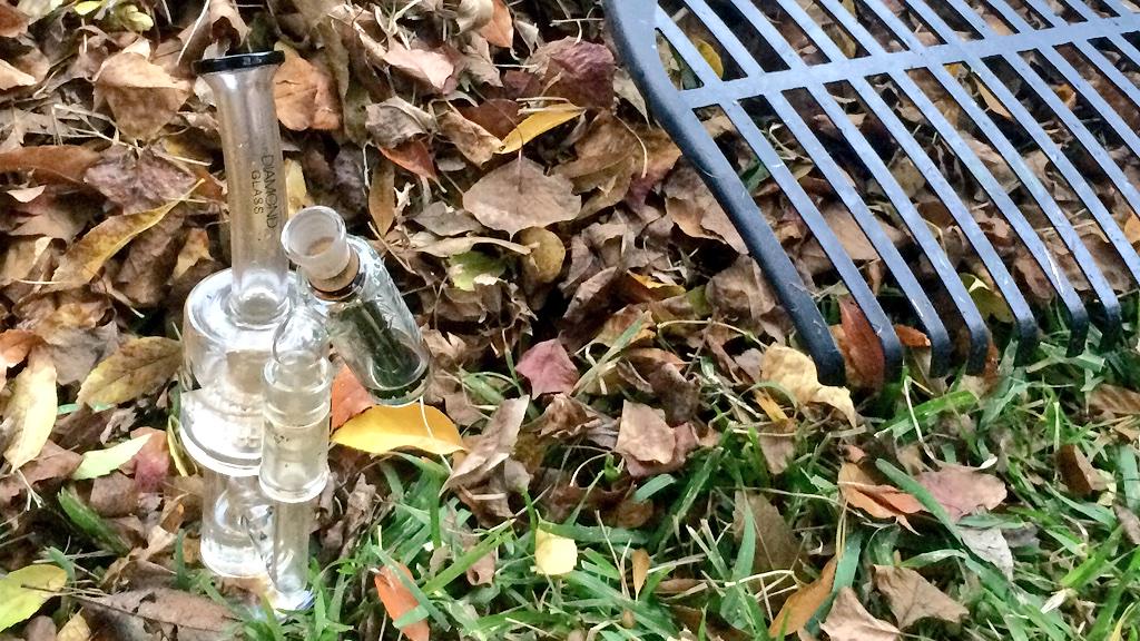 Potographers's tweet image. Goodbye Fall!