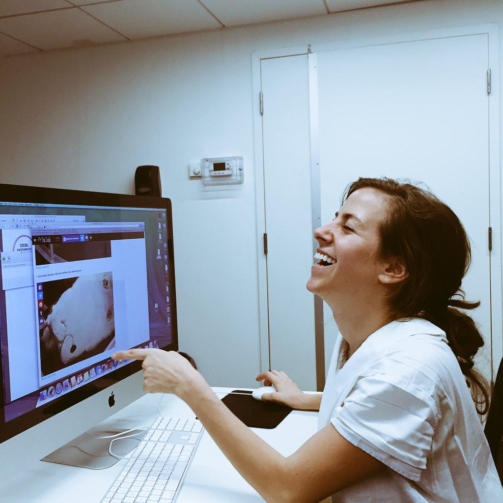 SEBootCamp's tweet image. And now co-chair @Robinewman will unwind by looking at smushed cat memes.