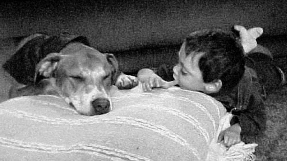 ParentsNotebook's tweet image. Feeling alone and isolated? Check out theparentsnotebook.com. Read the book and know you are not alone.