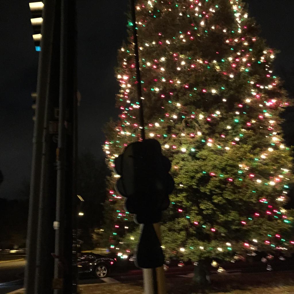 flounder tweet media