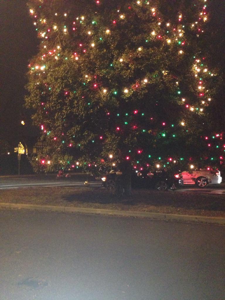 throughmylens_atl tweet media