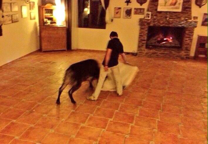 David Fandila tweet media