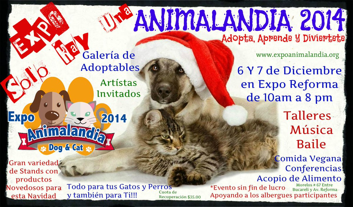 EXPOANIMALANDIA's tweet photo. @LillyTellez RT X FAVOR dom 7 desde las 10 am EXPO ANIMALANDIA , CON TU PARTICIPACION A POYAS A MAS DE 10 ALBERGUES http://t.co/U1GDd6uFOQ