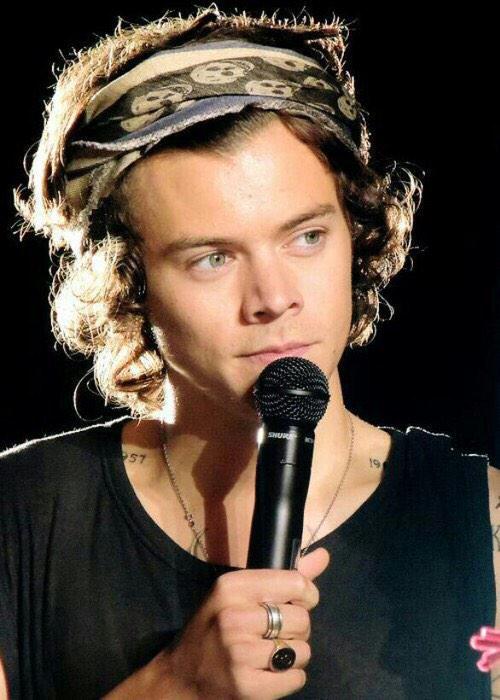 alwaysawardss's tweet photo. GATO DO ALWAYS - Harry Styles (@harrys_always) http://t.co/LVvtKPzKbN