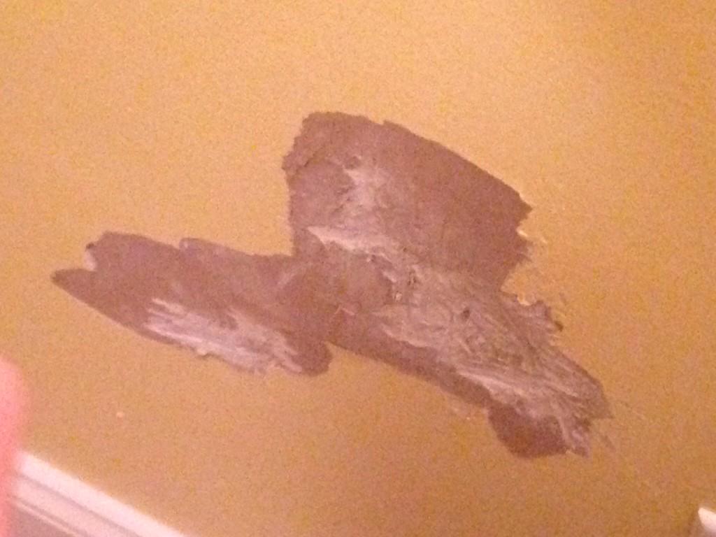 AbbieGHolt's tweet photo. We have a Marley &amp; Me situation on our hands...Millie ate part of a wall today. #millieandme #whatnext http://t.co/NUCAVPdPmD