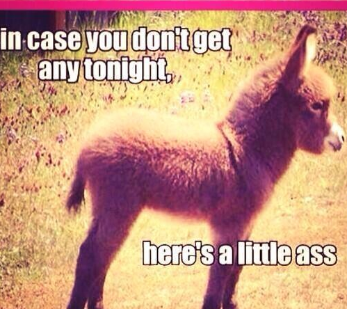 CauseWereGuys's tweet photo. Just in case. http://t.co/75Q64bzNXj