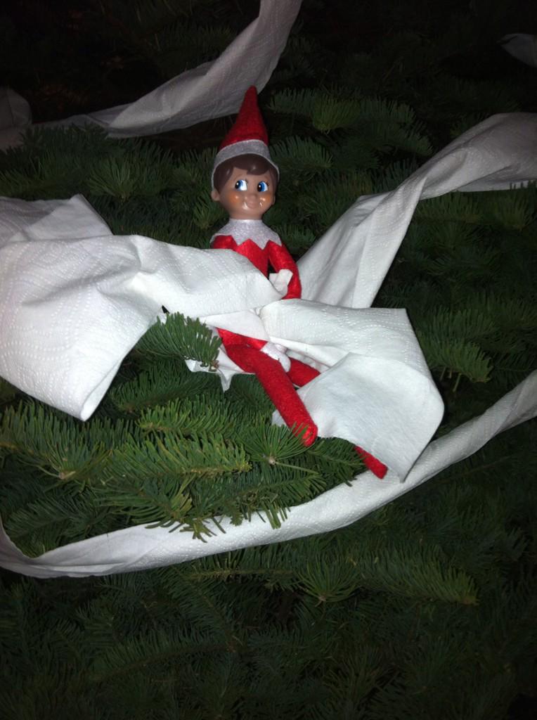 rbavanoble's tweet photo. Elf TP'd our tree! http://t.co/iLQHvuFIZM
