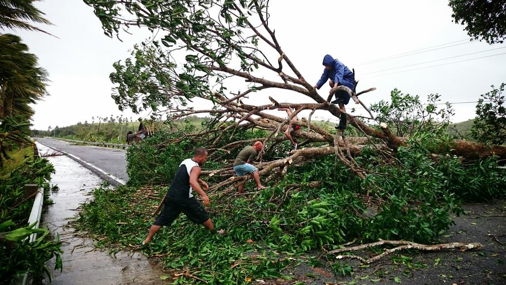Fallen trees along the national highway in Calbayog. This was during a lull in the typhoon. #RubyPH