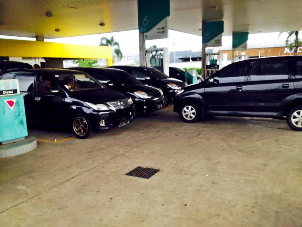 MAXIBOGOR's tweet image. Black