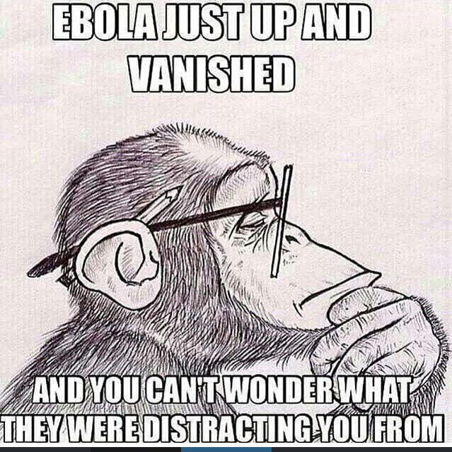 channi_chantz's tweet image. So true - such a conspiracy - instead of listening to the media - open ur eyes 
#EverythingIsNotWhatItSeems