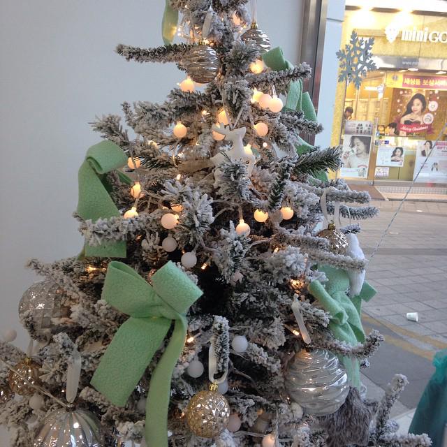 _Riley95_'s tweet photo. christmas &amp; my birthday is coming.. 🎄🎅⛄️❄️🇰🇷😝😍
love december.❤️ http://t.co/b8Er0b41FV