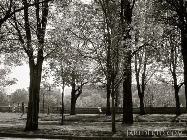 JaredLeto's tweet photo. NOTES FROM THE OUTERNET Photo Flashback: Trees in Paris  #NFTO http://t.co/bN7glSJNuV